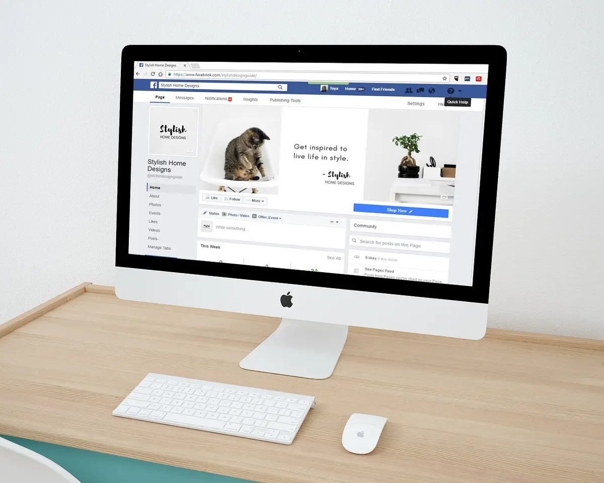 digital marketing tools and social media platforms